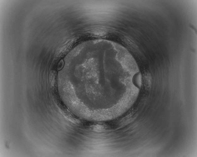 X0000100500412200806271303