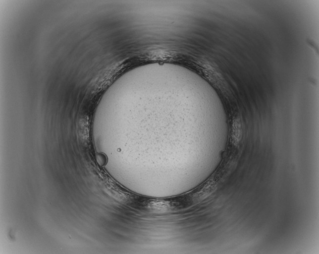 X0000100500413200806271303