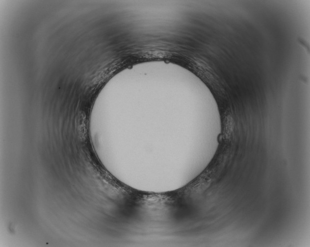 X0000100500414200806271303