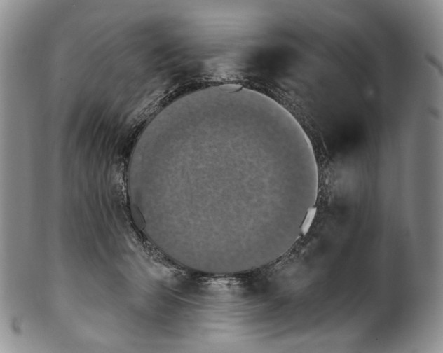 X0000100500415200806271303