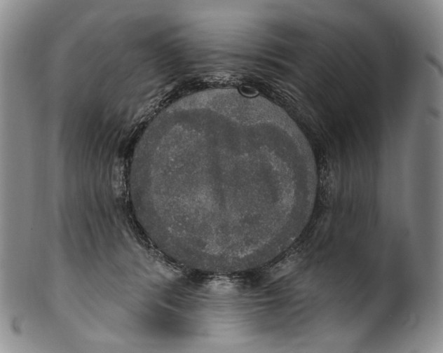 X0000100500416200806271303