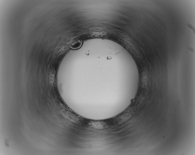 X0000100500417200806271303