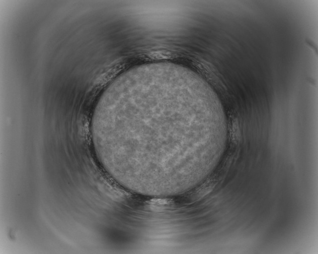 X0000100500418200806271303