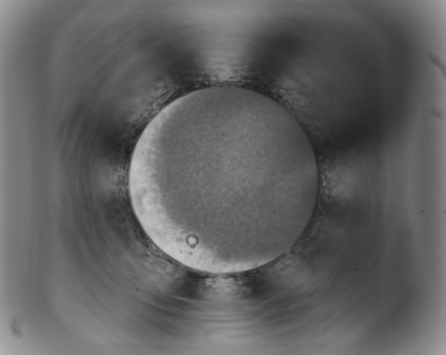 X0000100500419200806271303