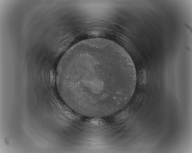 X0000100500420200806271303