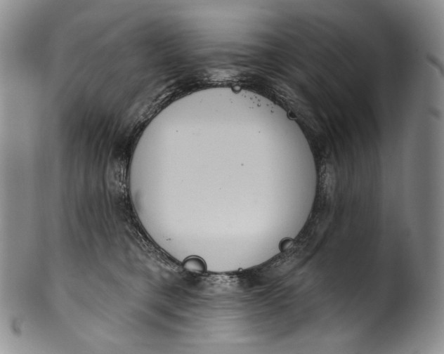 X0000100500421200806271303