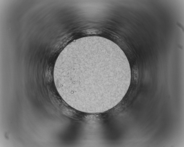 X0000100500422200806271303