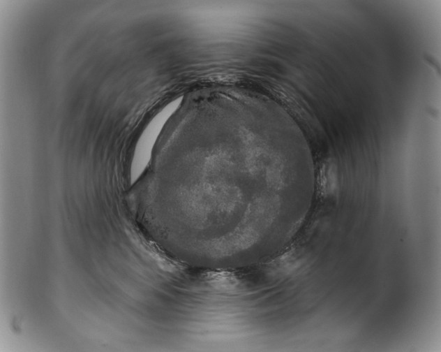 X0000100500424200806271303