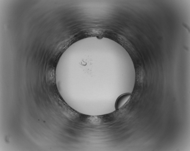 X0000100500425200806271303