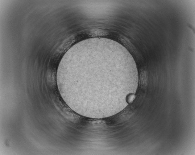 X0000100500426200806271303