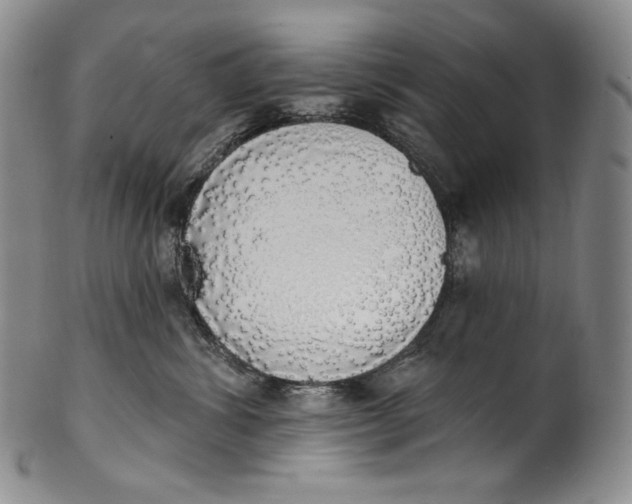 X0000100500428200806271303