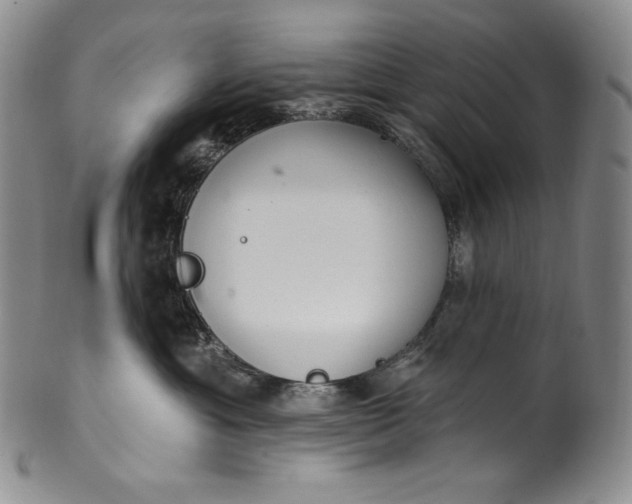 X0000100500429200806271303