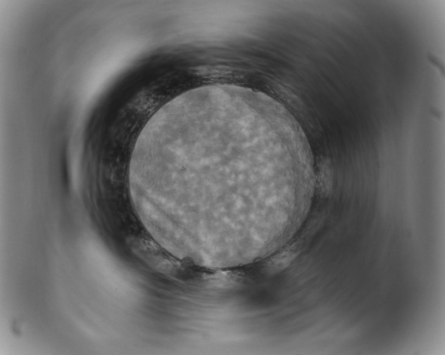 X0000100500430200806271303