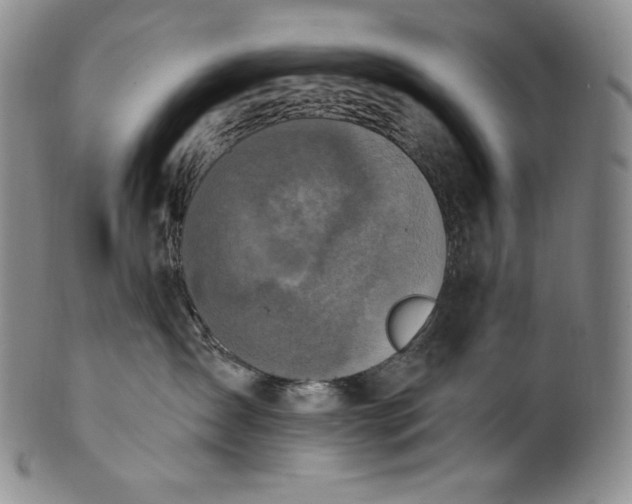 X0000100500431200806271303