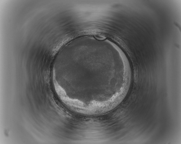 X0000100500434200806271302