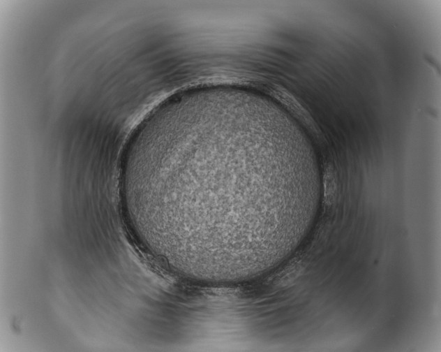 X0000100500436200806271302