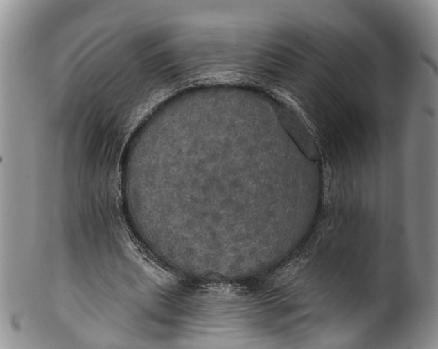 X0000100500439200806271302