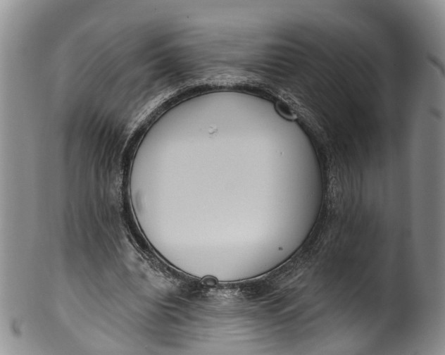 X0000100500440200806271302