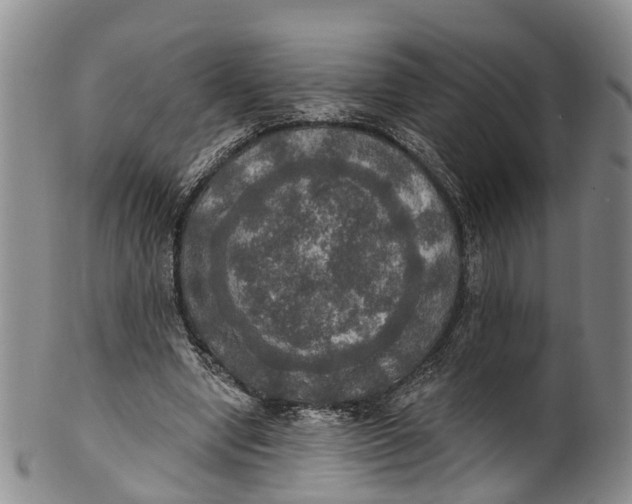 X0000100500442200806271302