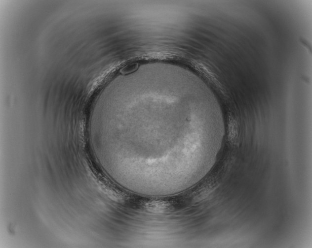 X0000100500444200806271302