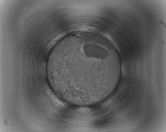 X0000100500445200806271302