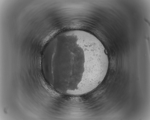 X0000100500446200806271302