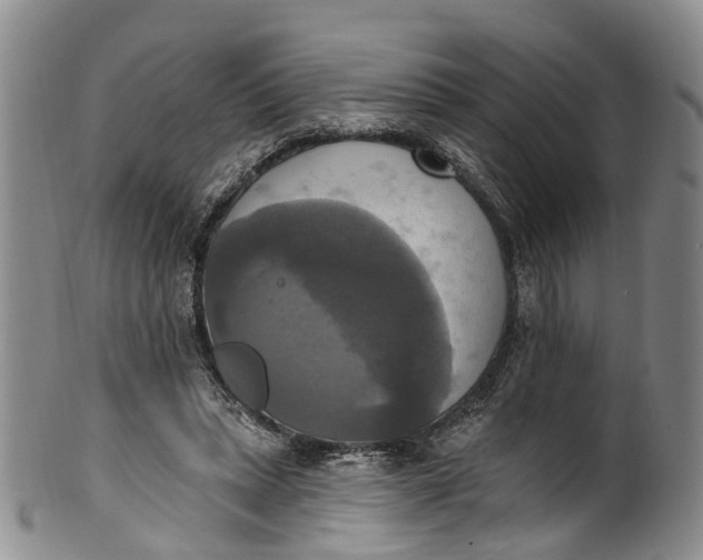 X0000100500447200806271302