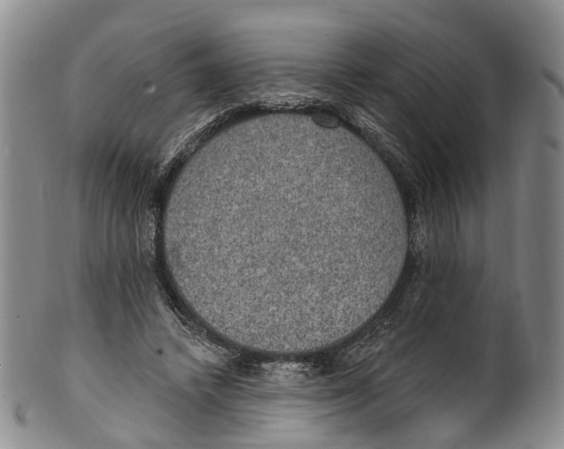 X0000100500448200806271302