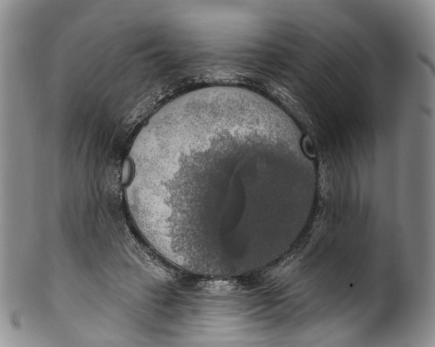 X0000100500449200806271302