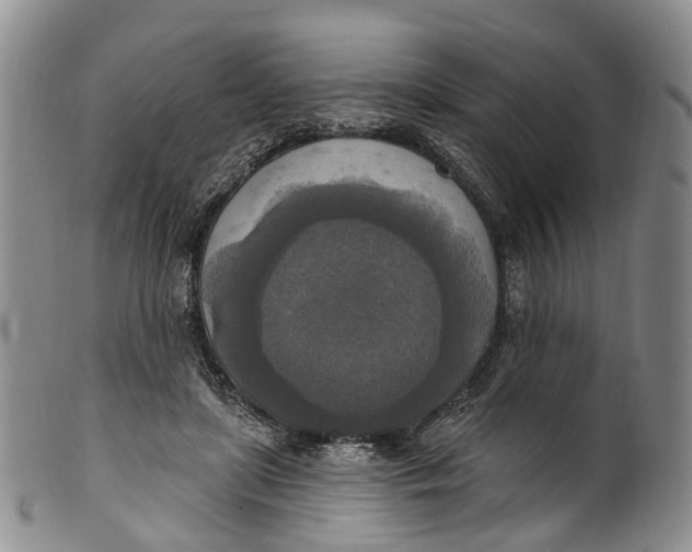 X0000100500451200806271302