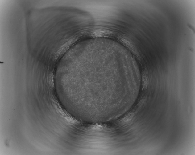 X0000100500453200806271303