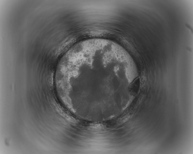 X0000100500454200806271303