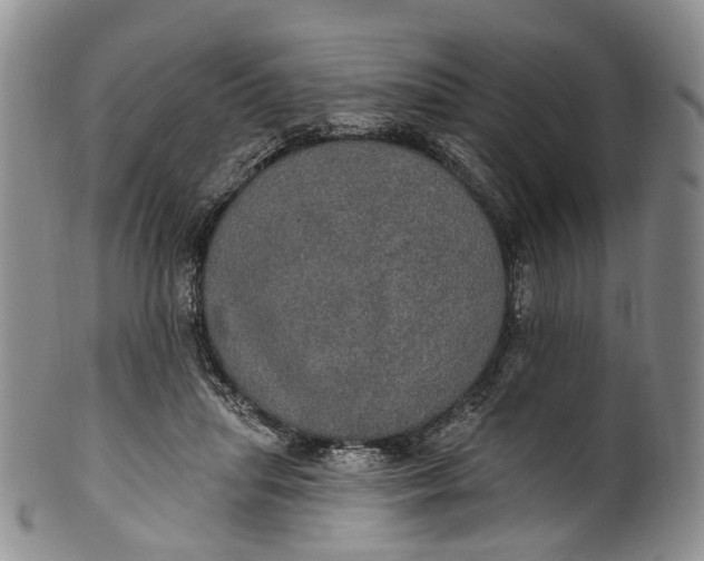 X0000100500455200806271303