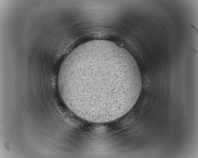 X0000100500456200806271303