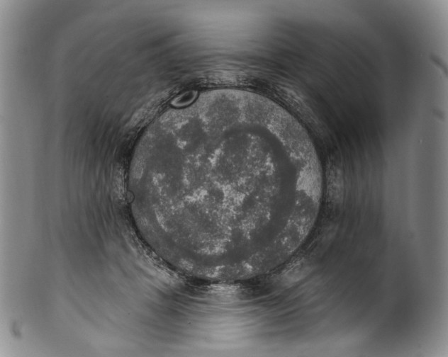 X0000100500457200806271303