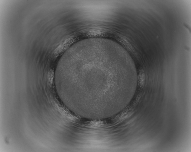 X0000100500458200806271303