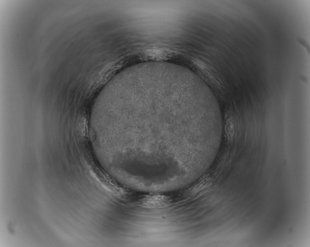 X0000100500459200806271303