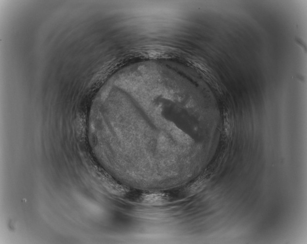 X0000100500461200806271303