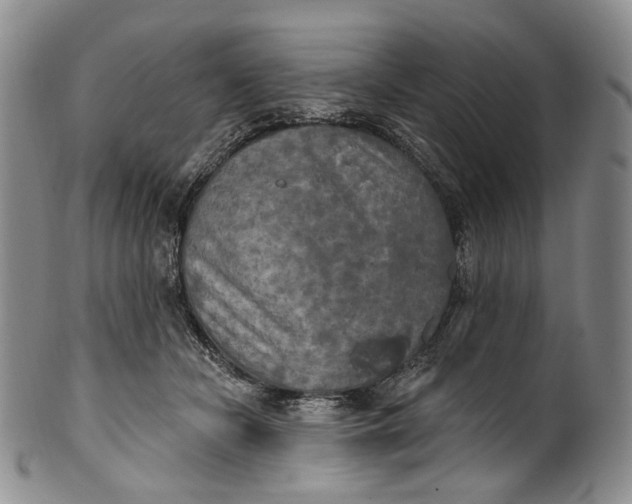 X0000100500462200806271303