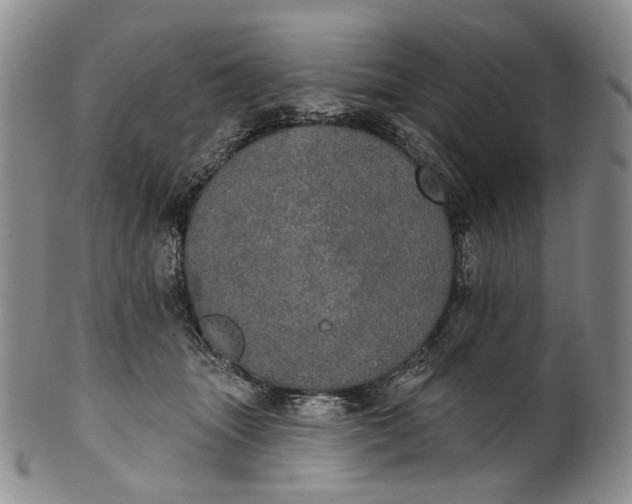 X0000100500463200806271303