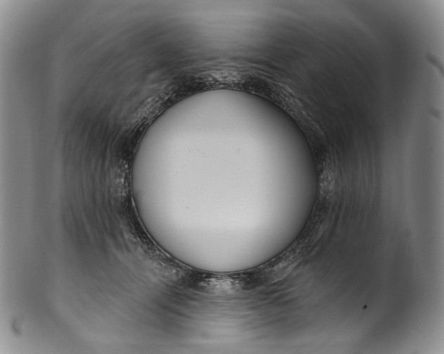 X0000100500464200806271303