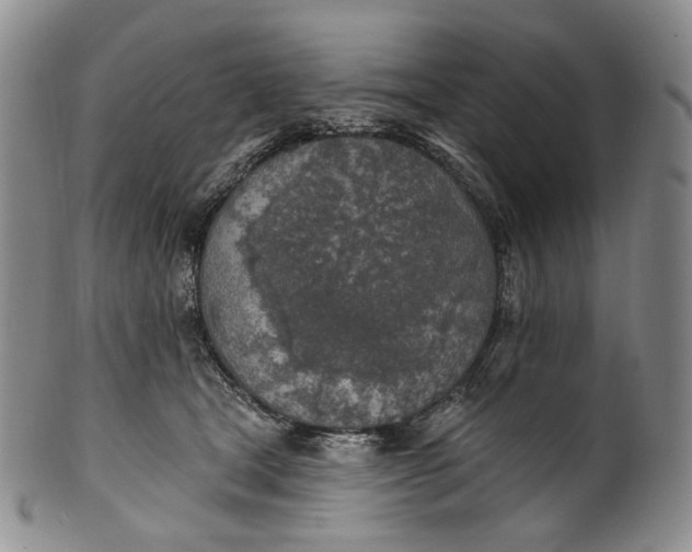 X0000100500465200806271303