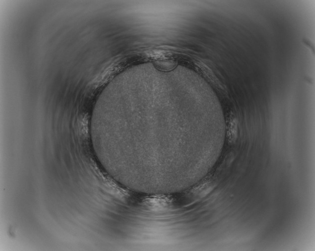 X0000100500466200806271303