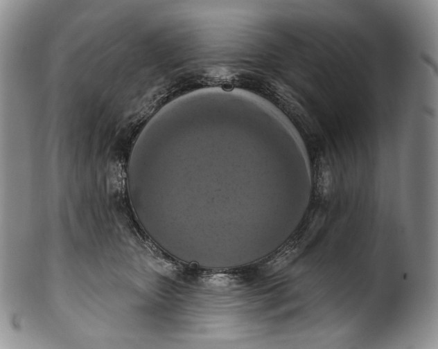 X0000100500467200806271303