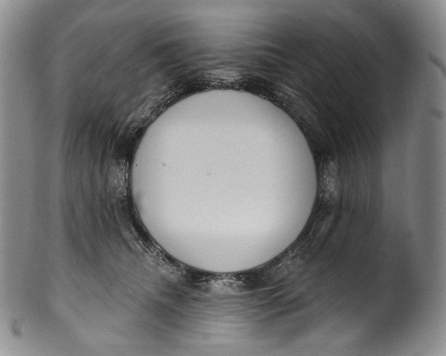 X0000100500468200806271303