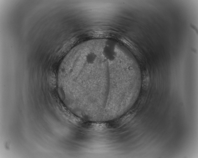 X0000100500469200806271303