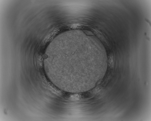 X0000100500470200806271303