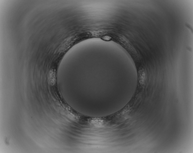 X0000100500471200806271303