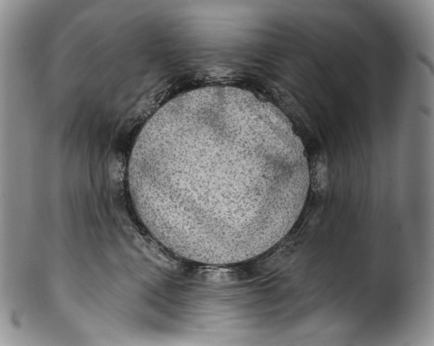 X0000100500472200806271303