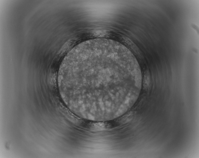 X0000100500473200806271303